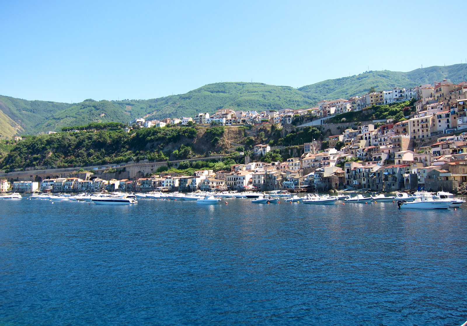 Scilla